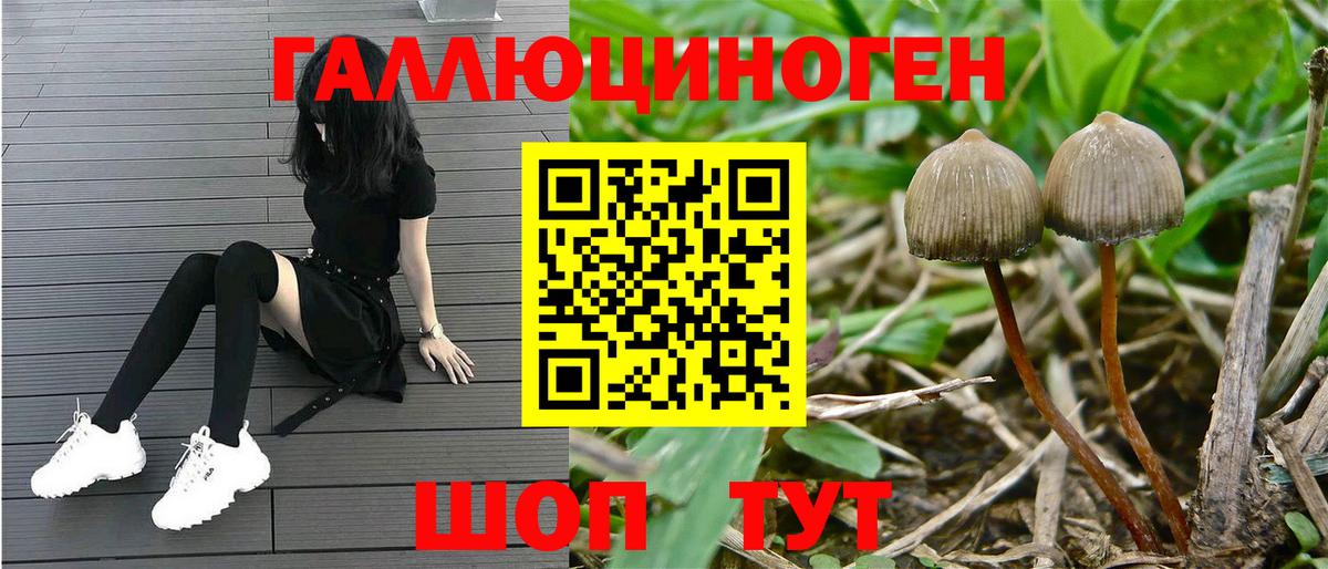 Рязань  Псилоцибиновые грибы Cubensis  цены наркотик  Вход с VPN 